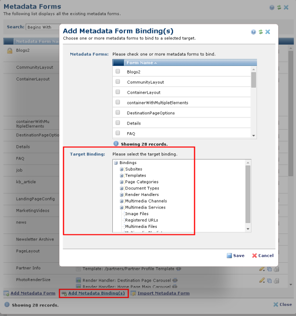 Bind metadata form